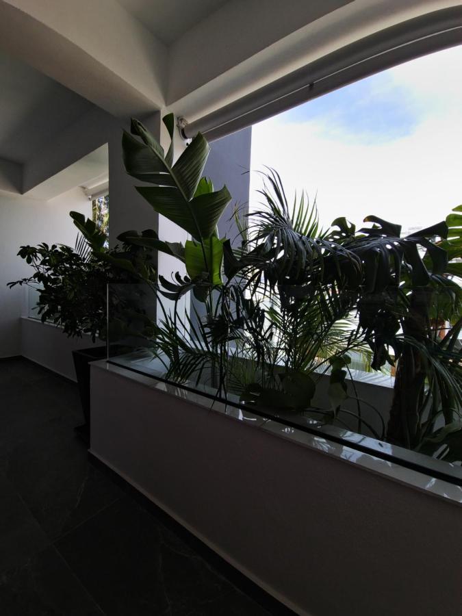 Carisa Deluxe Apartment With Jacuzzi Larnaca Buitenkant foto
