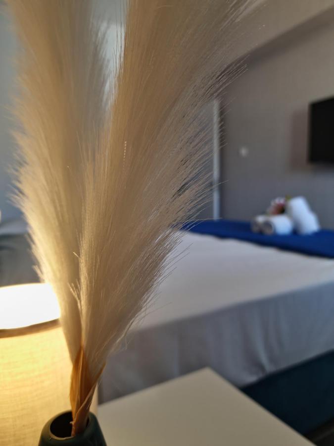 Carisa Deluxe Apartment With Jacuzzi Larnaca Buitenkant foto